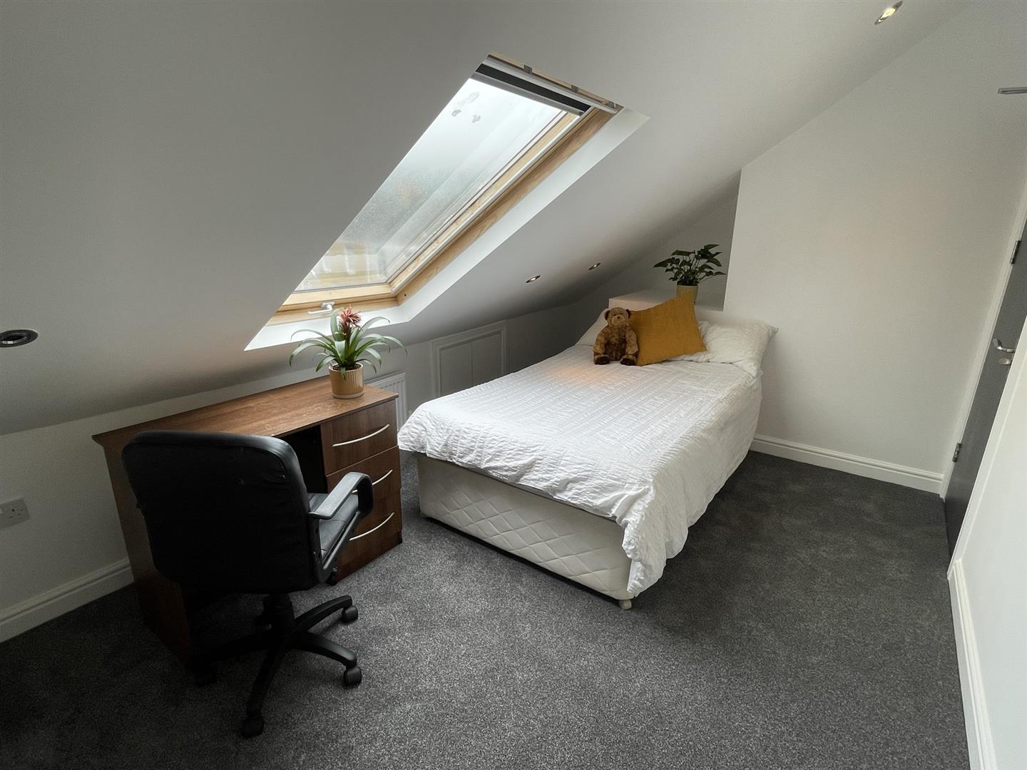 Trafalgar Place, Brynmill, Swansea, SA2 0BU